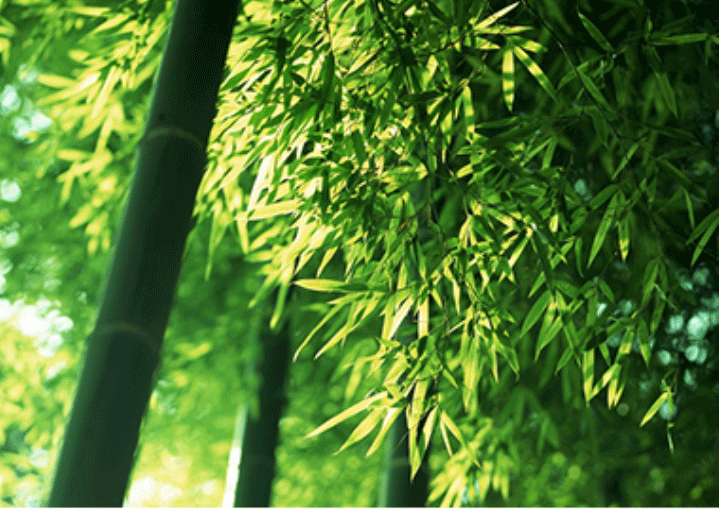新浦京网站